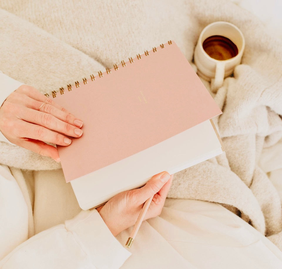 Daily Overview Planner in Dusty Rose