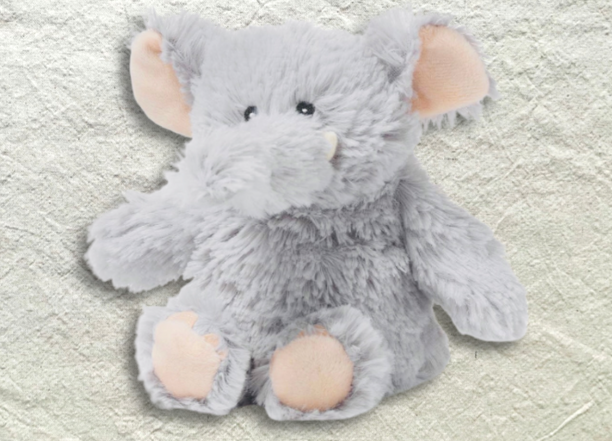 Dinos + Dragons Sensory Giftbox - Grand