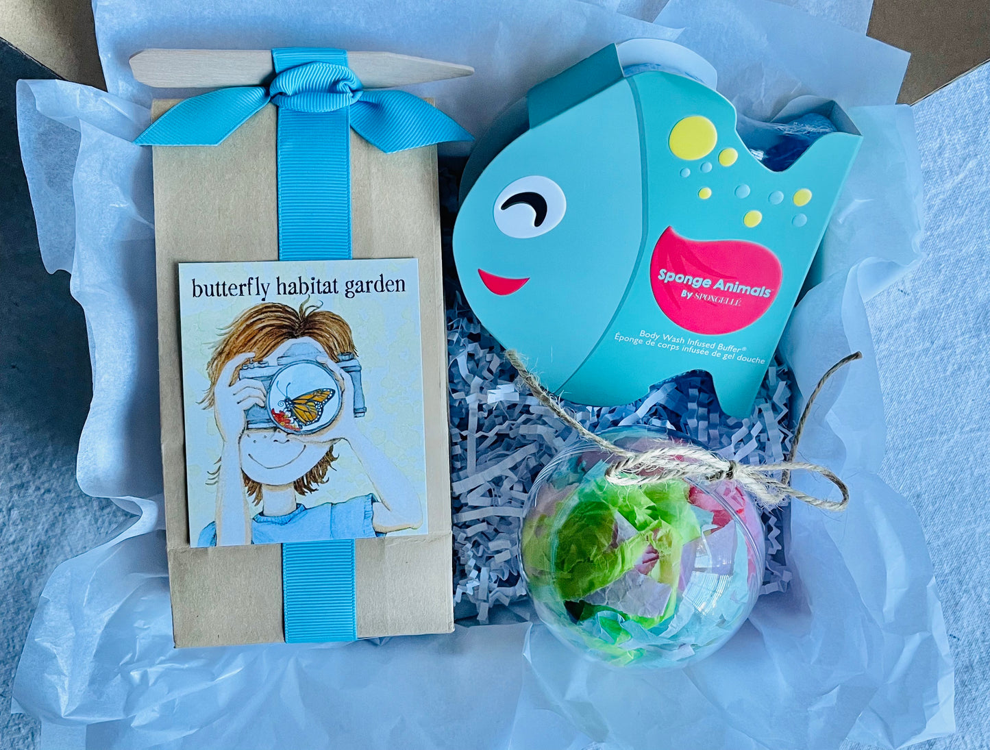 Fishy Surprises - Petit Gift Box